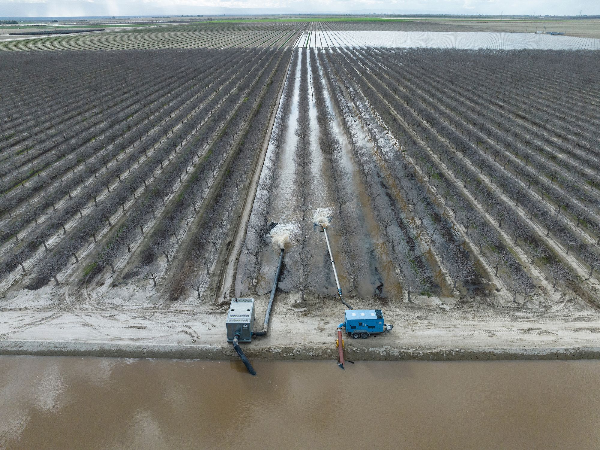 Two pumps pull water from a murky canal and spread it through pipelines onto a sandy orchard of leafless dormant pistachio trees.